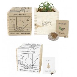 GROW SET WITH SEEDS SQUARE