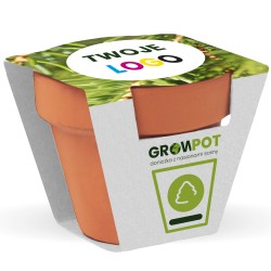 GROWTERRACOTTA POT